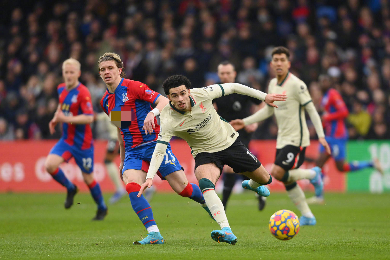 的评论背后 的评论背后